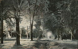 Steuben Park on a Winter Night Postcard