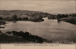 Junction of Susquehanna and Unadilla River Sidney, NY Postcard Postcard Postcard