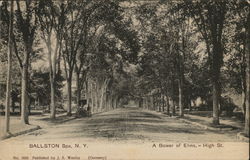 A Bower of Elms on High Street Ballston Spa, NY Postcard Postcard Postcard