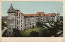American Museum of Natural History Postcard