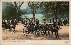 The Lake Central Park New York City, NY Postcard Postcard Postcard