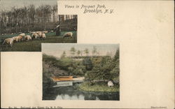 View from Prospect Park Brooklyn, NY Postcard Postcard Postcard