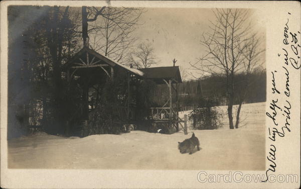 Cabin in Snow, Scottish Terrier South Orange New Jersey