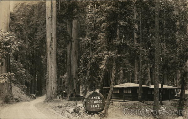 Lane's Redwood Flat Leggett California
