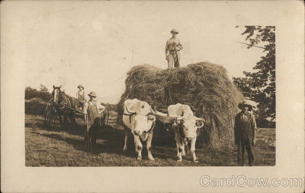 Bringing In The Hay Farming