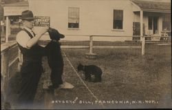 Betsey and Bill Franconia, NH Postcard Postcard Postcard