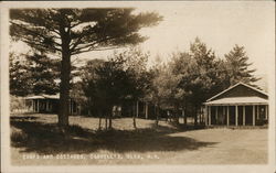 Camps and Cottages, Carnell's Glen, NH Postcard Postcard Postcard