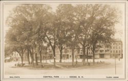 Central Park Keene, NH Postcard Postcard Postcard