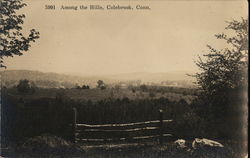 Among the Hills Postcard