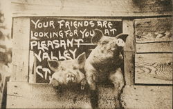 Your Friends are Looking For You Postcard