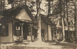 Cabins Postcard