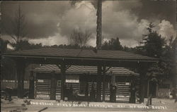 The Cedar's Dine and Dance Dedham, ME Postcard Postcard Postcard