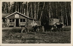 Waumila Lodge Olympic National Park, WA Postcard Postcard Postcard