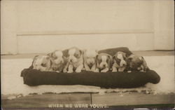 When We Were Young Postcard