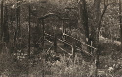 Log Bridge to Long Trail Lodge Postcard