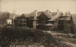 ALC Driveway, Mountain Lodge, Little Moose Lake Postcard