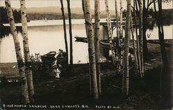Burke Haven Landing, Lake Sunapee Postcard