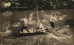 Great Sport Fishing Here Postcard
