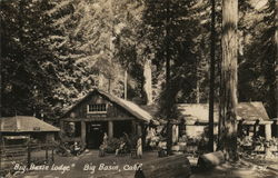 Big Basin Lodge Postcard
