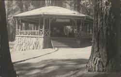 "House in the Big Trees" "House in the Big Trees"