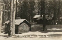 Cabins at Grant Park Lodge Postcard