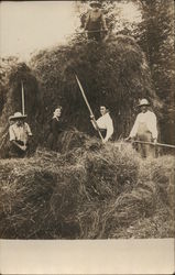 Harvesting Hay Postcard