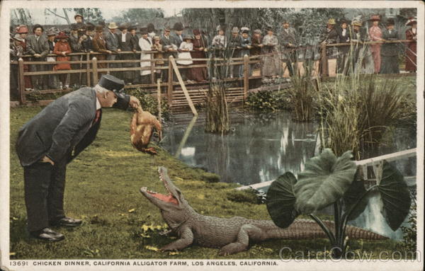 Chicken Dinner, California Alligator Farm Los Angeles