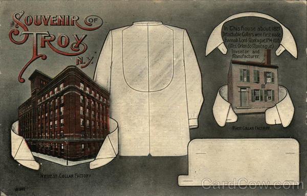 Souvenir of Troy New York