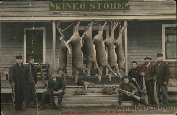 Killed Near Mt. Kineo, Kineo Store Maine Hunting