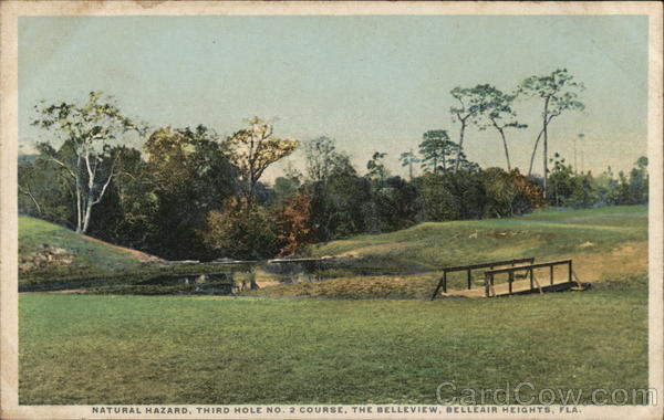 Natural Hazard, Third Hole No. 2 Course, The Belleview Belleair Florida