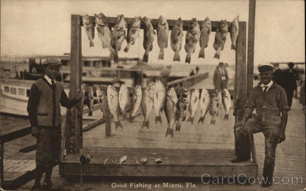 Good Fishing at Miami Florida