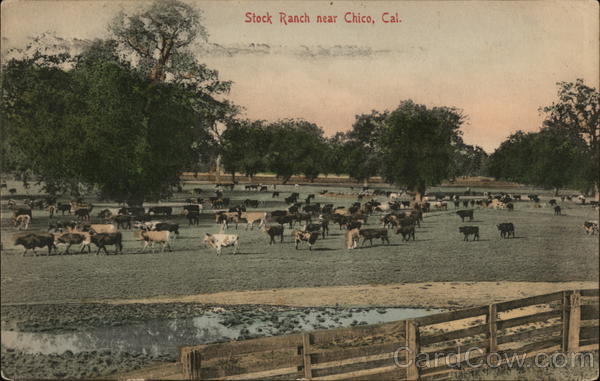 Stock Ranch Chico California
