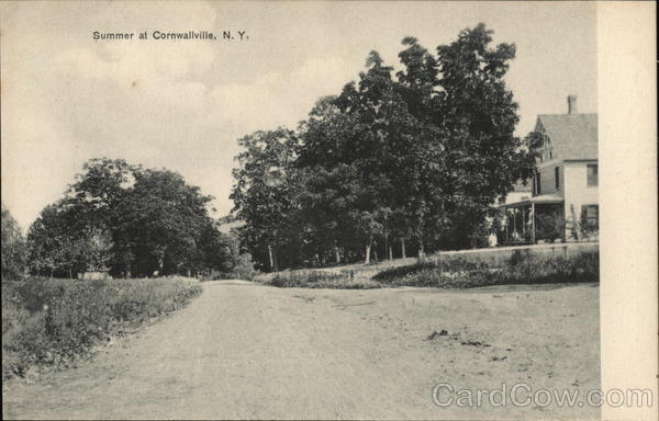 Summer at Cornwallville New York