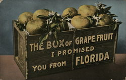 The Box of Grapefruit I Promised You From Florida Postcard Postcard Postcard