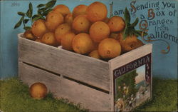 Sending a Box of Oranges from California Fruit Postcard Postcard Postcard