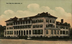 Pine Tree Inn Bogalusa, LA Postcard Postcard Postcard