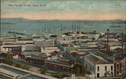 The Harbor The Harbor