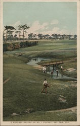 A Natural Hazard on No. 1 Course Belleair, FL Postcard Postcard Postcard