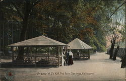 On The Line Of L.V.R.R. Twin Springs Postcard