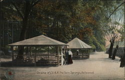 On The Line Of L.V.R.R. Twin Springs Bellewood, NJ Postcard Postcard Postcard