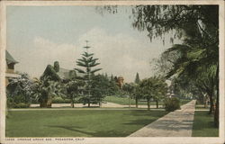 Orange Grove Avenue Pasadena, CA Postcard Postcard Postcard