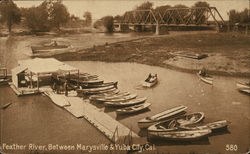 Feather River between Marysville & Yuba City Postcard