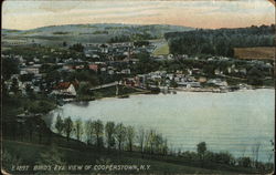 Bird's Eye View Postcard