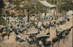 Carriages in Ross Park Binghamton, NY Postcard Postcard Postcard