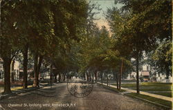 Chestnut St., looking West Postcard