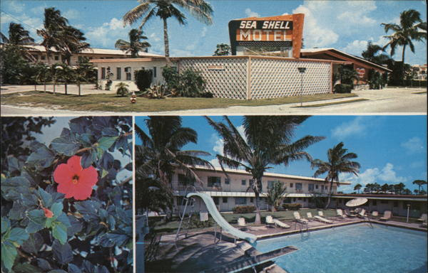 Sea Shell Motel Naples Florida