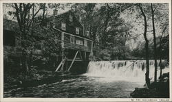 The Old Mill The Old Mill