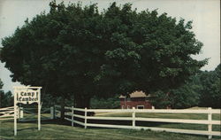 Camp Lambec Entrance Springfield, PA Postcard Postcard Postcard