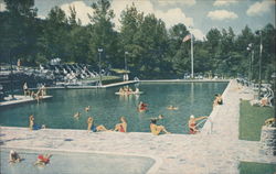 The Olympic-size Outdoor Pool Postcard
