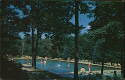 The Swimming Pool, Buck Hill Falls Postcard